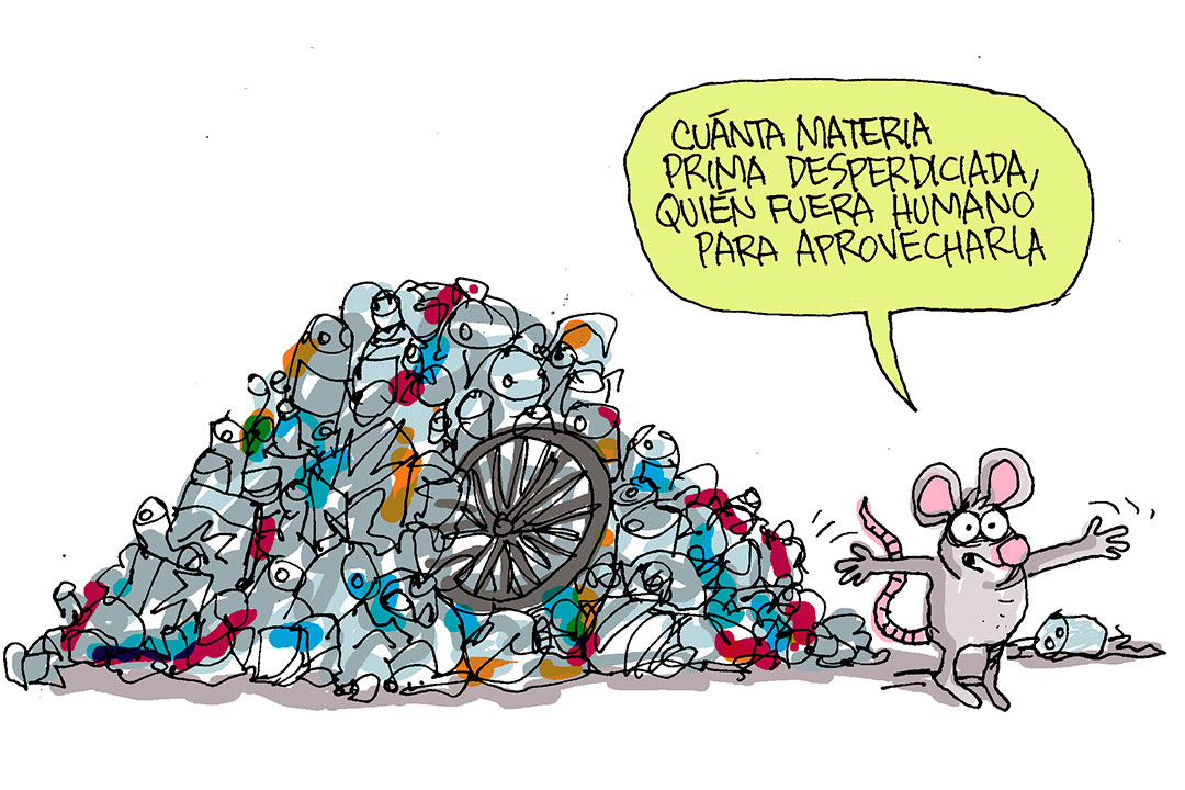 Lee más sobre el artículo Reciclando con Martirena
